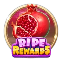 Card 591